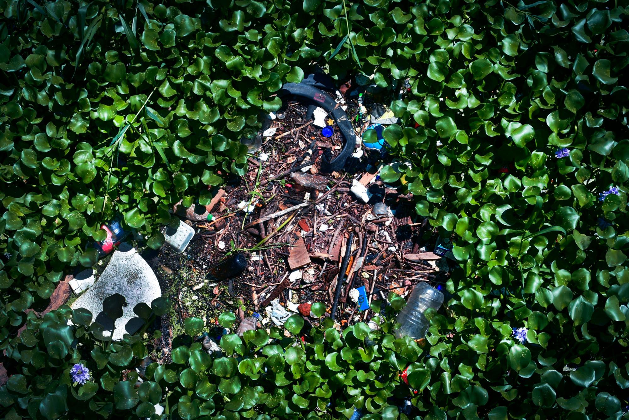 $!Acumulación de basura en el Parque Las Riberas amenaza la vida silvestre del lugar