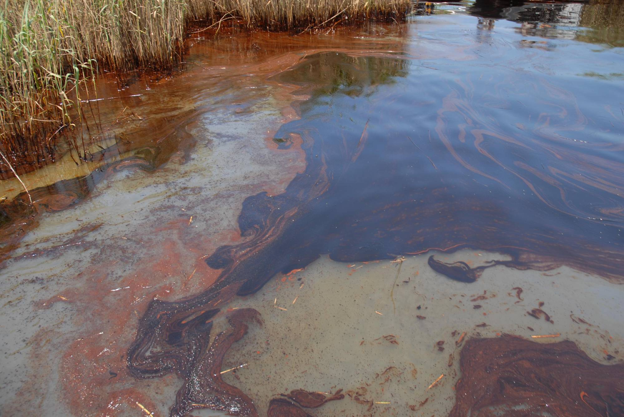 $!15 años después de devastador derrame petrolero: el Golfo de México requiere protección urgente