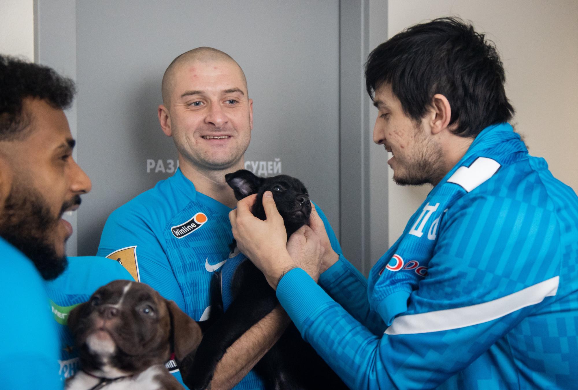 $!El Zenit entra a la cancha con ‘lomitos’ para incentivar la adopción de perros