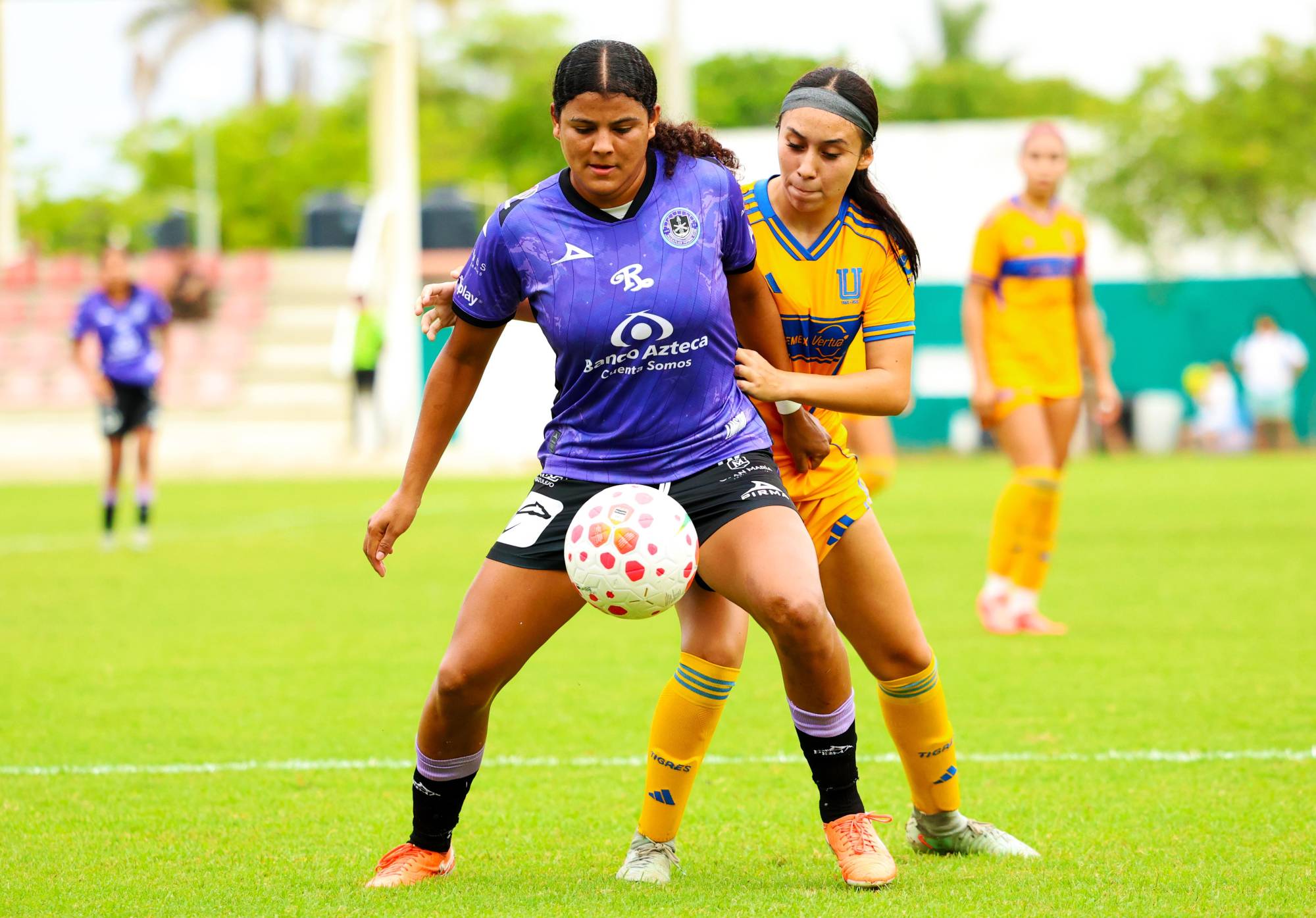 $!Mazatlán FC Sub 19 cae 2-0 ante Tigres en la Jornada 8 del Apertura 2025