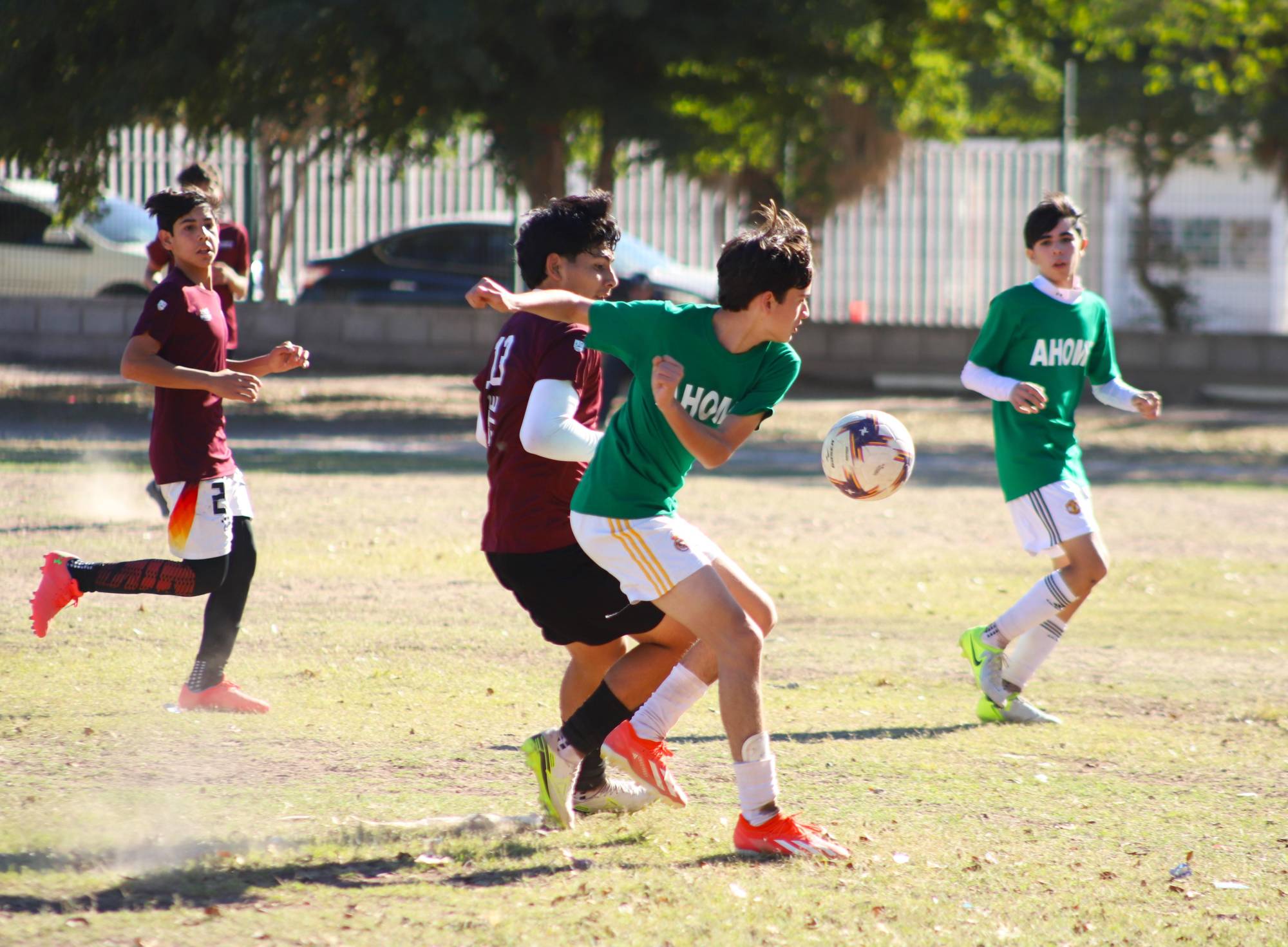 $!Sinaloa tendrá participación histórica en los Zonales rumbo a la Olimpiada Nacional 2026