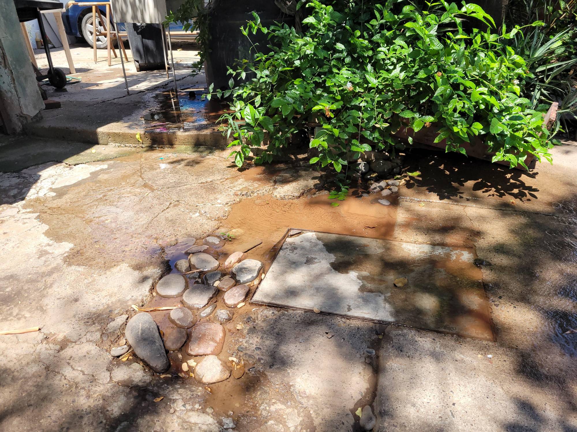 $!Hace cuatro días que agua limpia brota en la Agustina Ramírez, Culiacán, pese a sequía