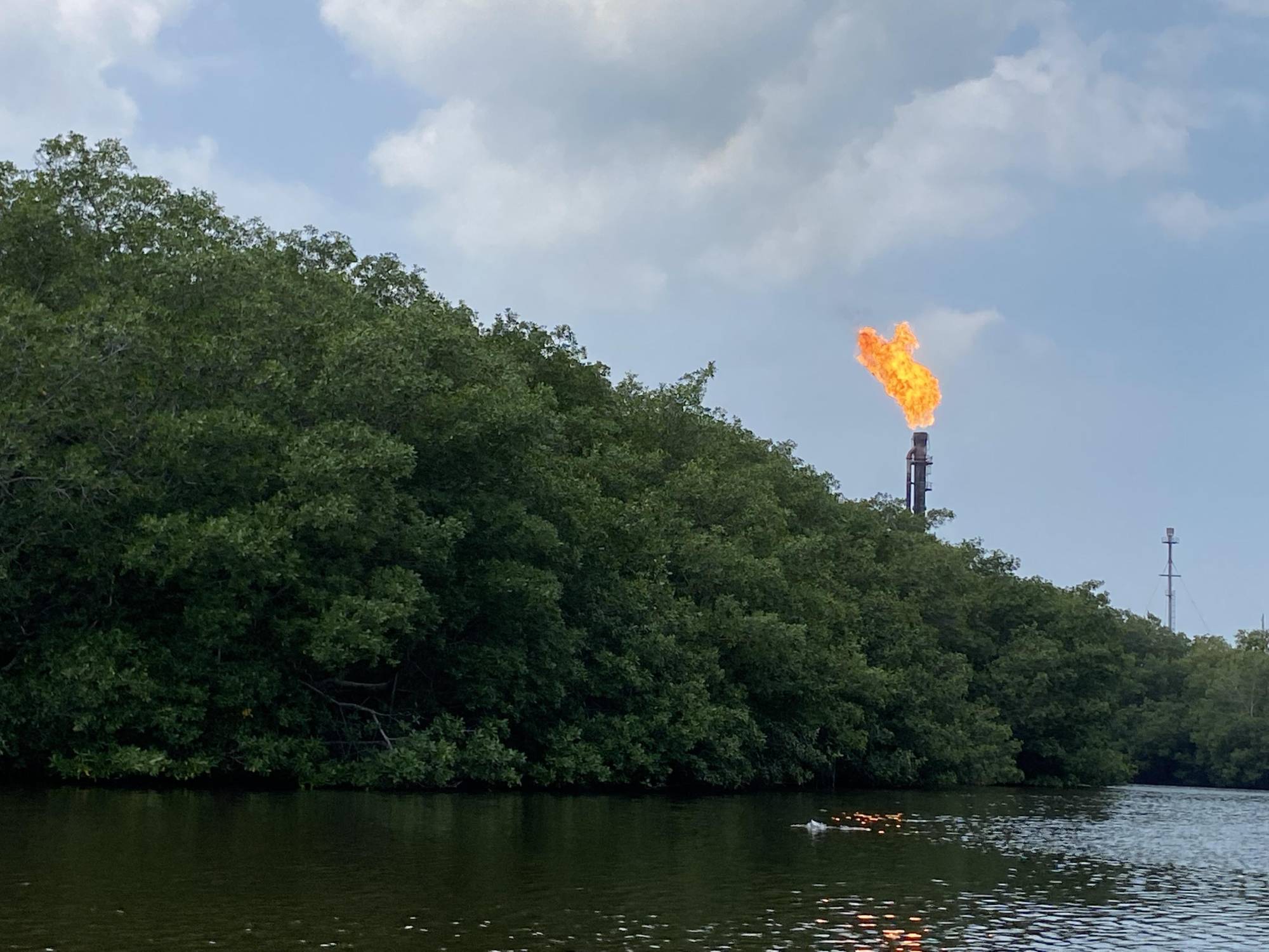 $!Los rastros de la Refinería se miran desde los manglares.