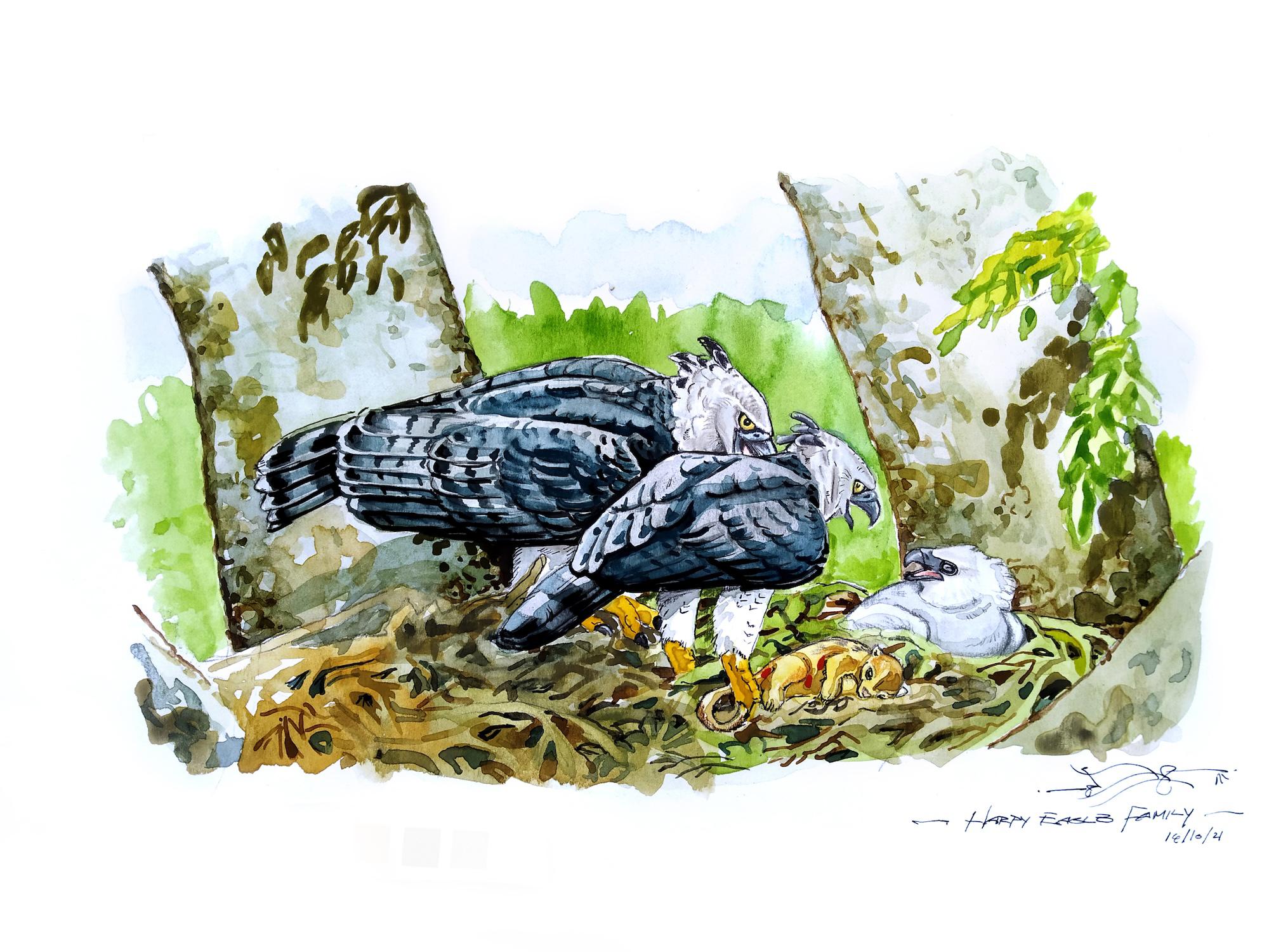 $!Águila harpía: reaparece la majestuosa ave rapaz que se creía extinta en México