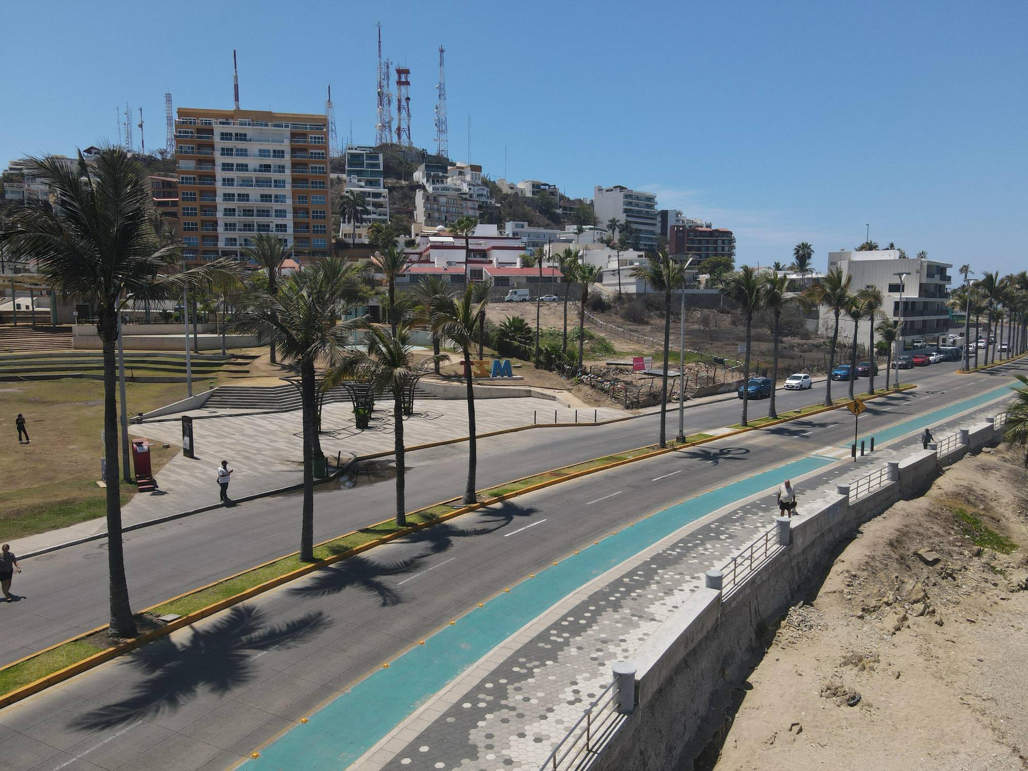 $!Ecologistas critican falta de soluciones reales tras la tala de dos palmeras en Mazatlán