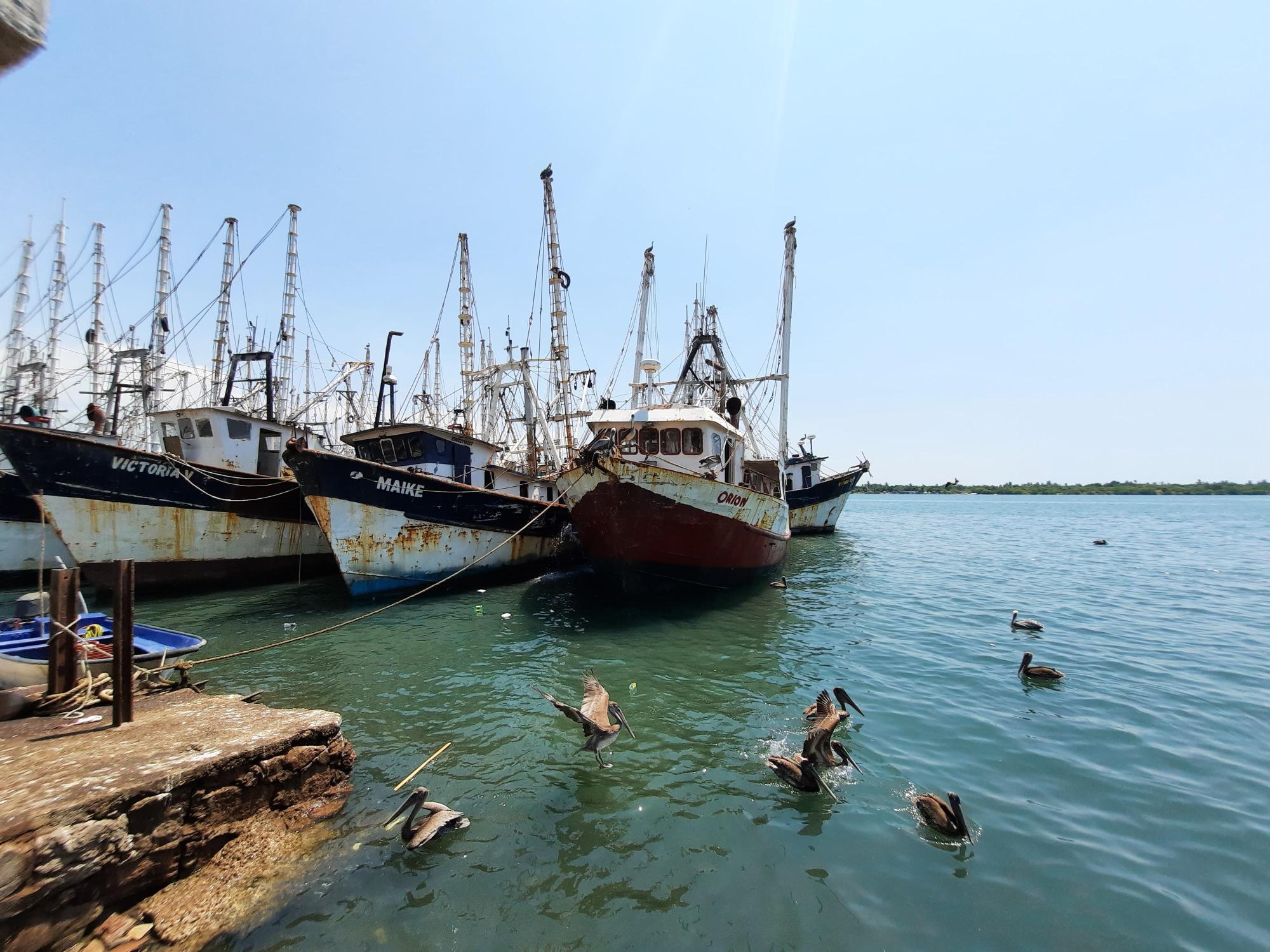 $!Ernesto ‘El Pollo’ González: Un hombre de mucho mar y de muchas experiencias
