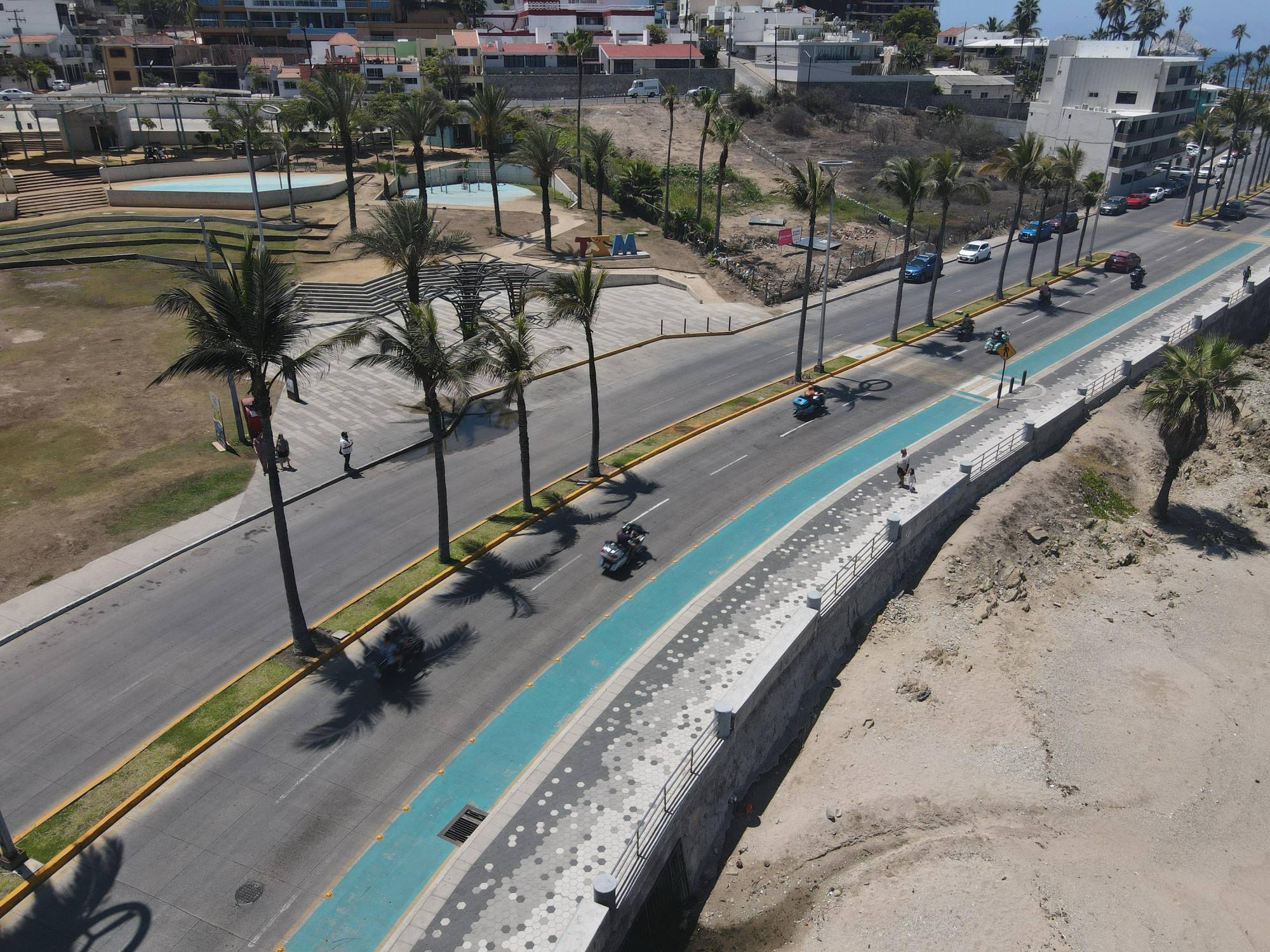 $!Ecologistas critican falta de soluciones reales tras la tala de dos palmeras en Mazatlán