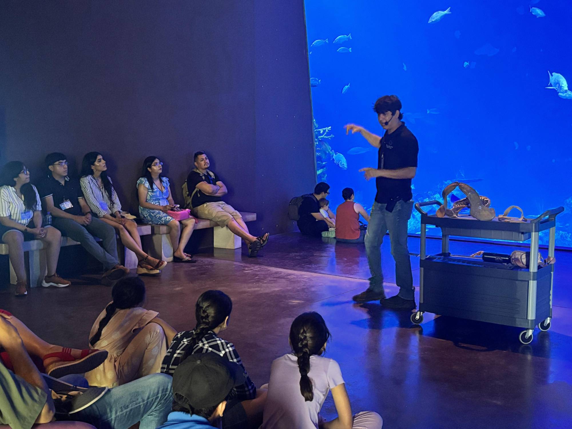 $!Gran Acuario Mar de Cortés sensibiliza sobre la relevancia ecológica de los tiburones