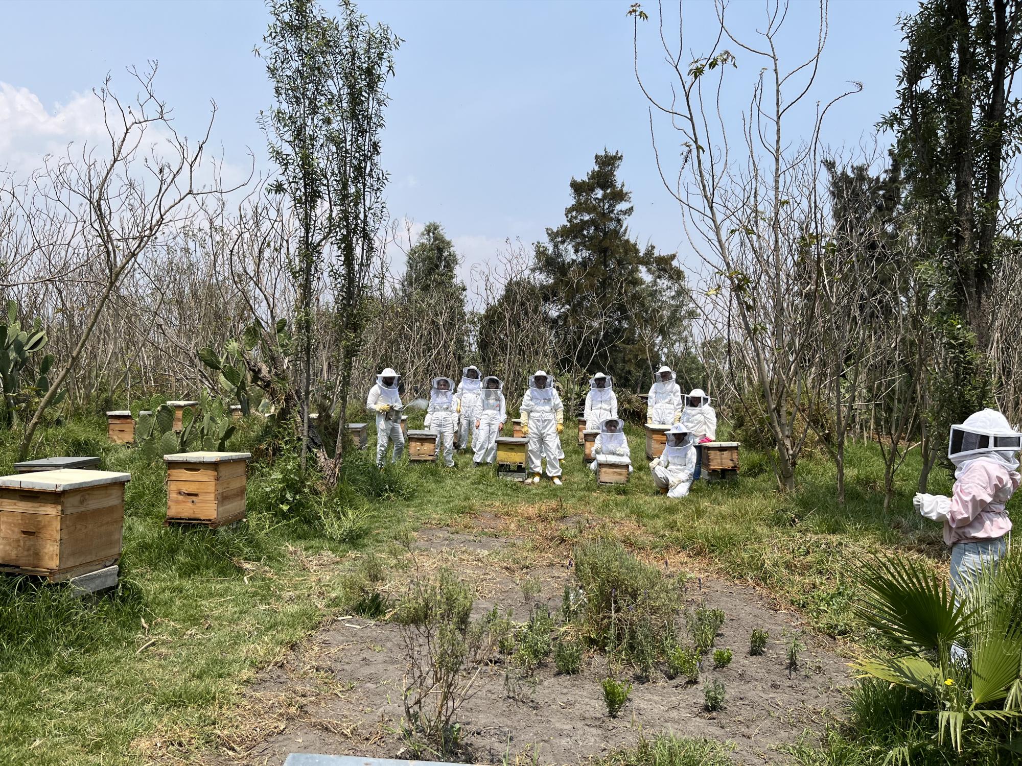 $!Abejas de Barrio, un turismo en México que acelera la seguridad alimentaria