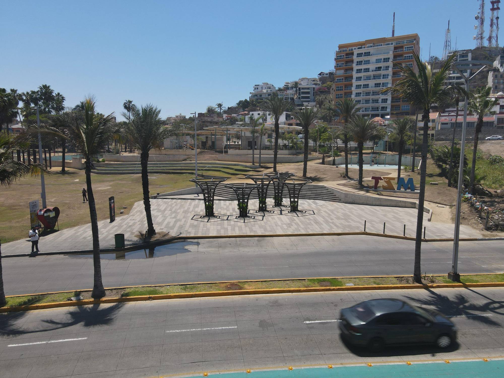 $!Ecologistas critican falta de soluciones reales tras la tala de dos palmeras en Mazatlán