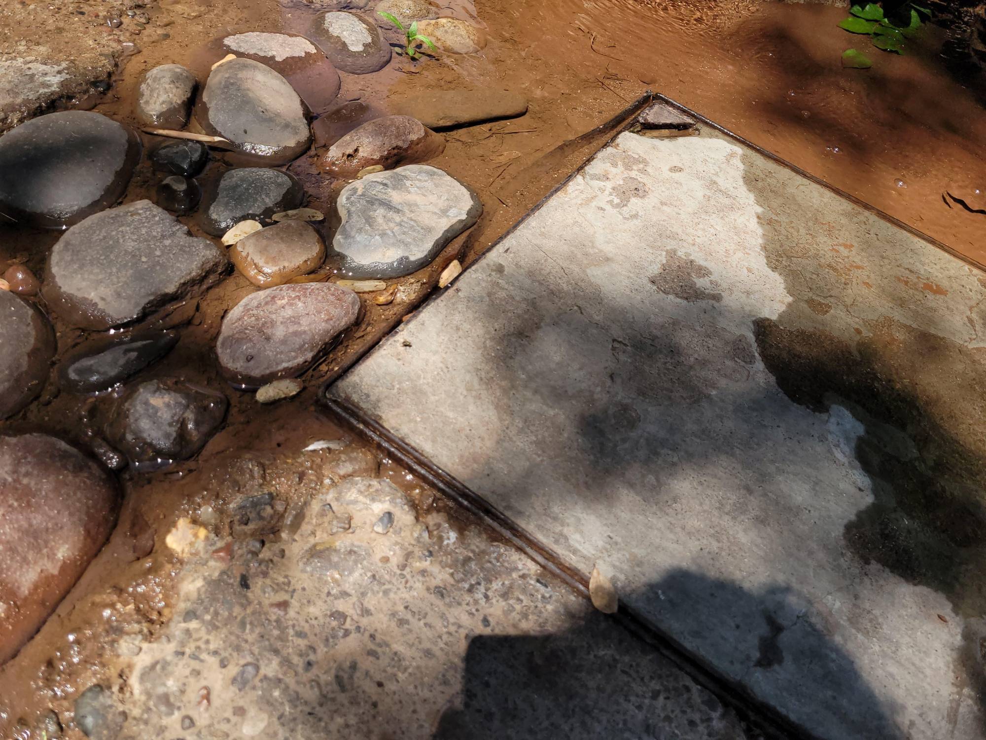 $!Hace cuatro días que agua limpia brota en la Agustina Ramírez, Culiacán, pese a sequía