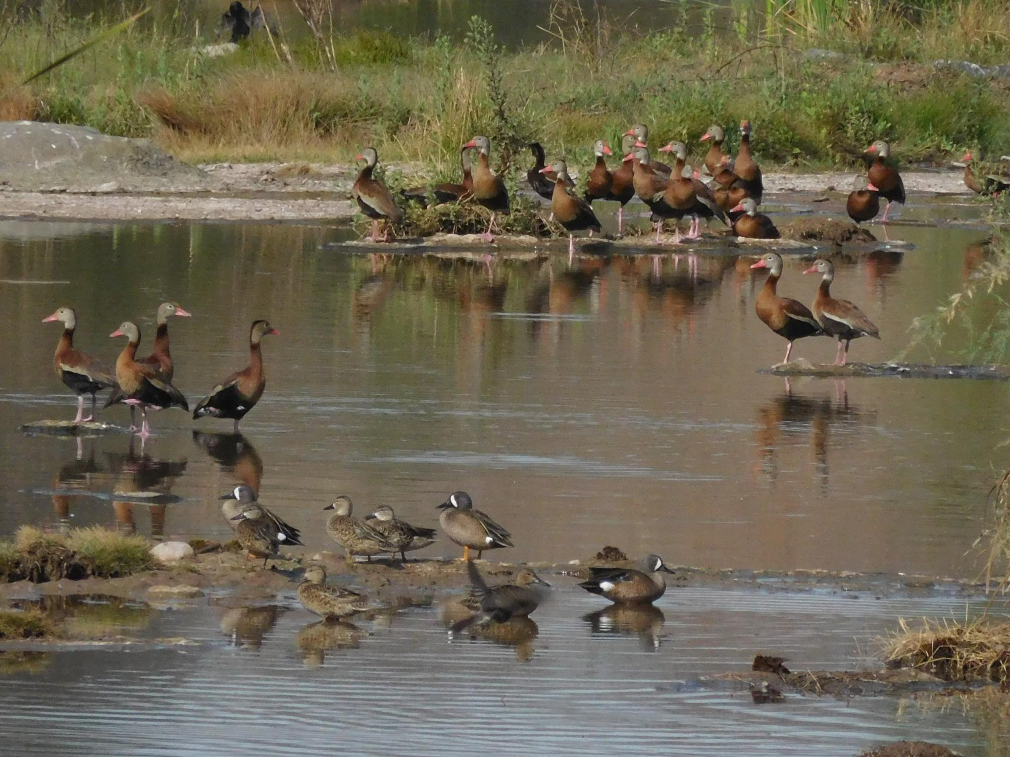 $!Tres nuevos parques para Culiacán