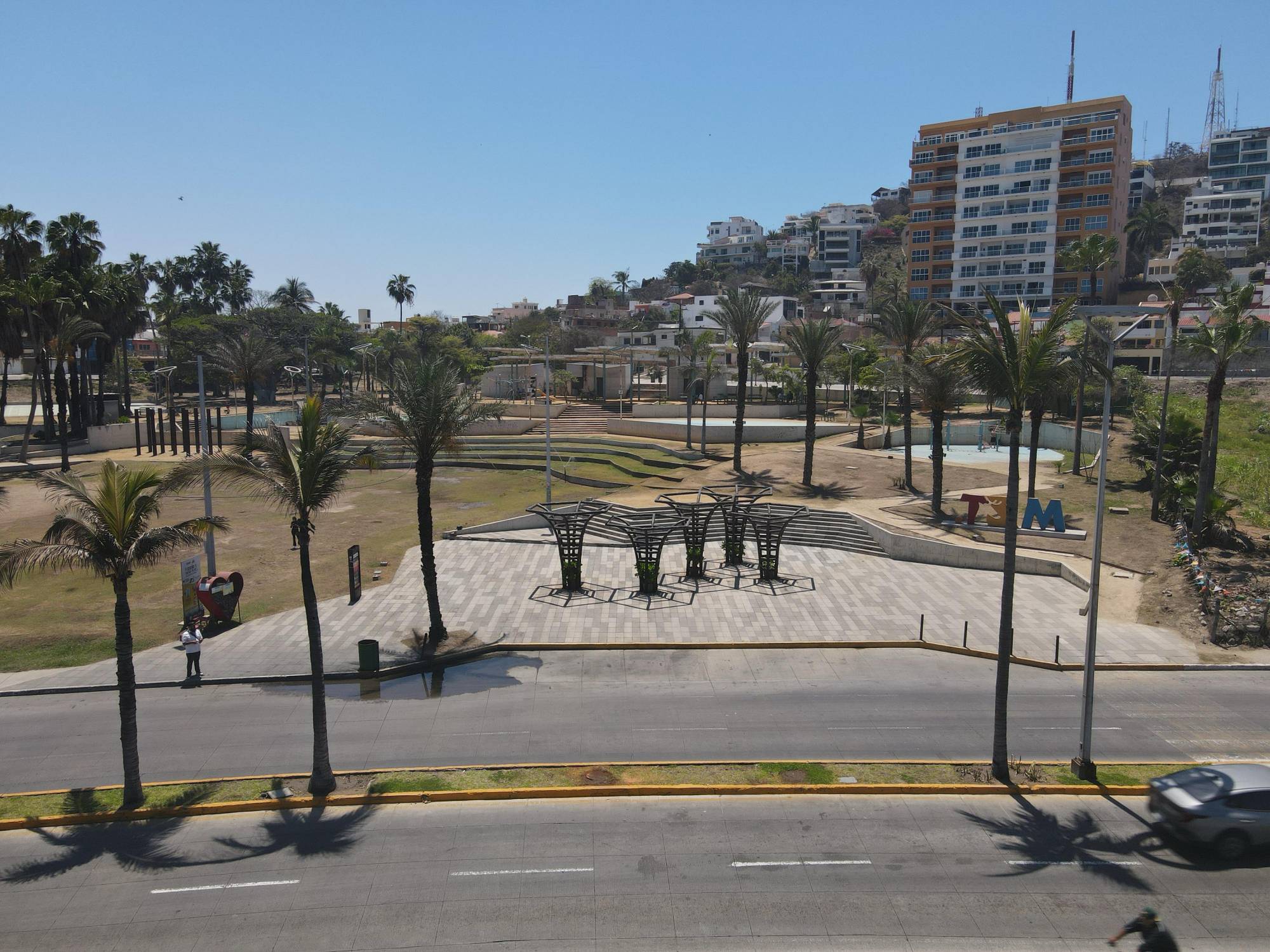 $!Ecologistas critican falta de soluciones reales tras la tala de dos palmeras en Mazatlán