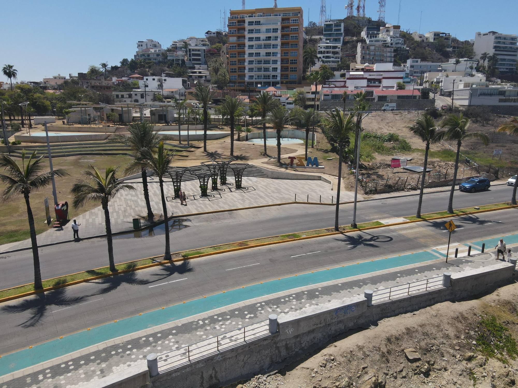 $!Ecologistas critican falta de soluciones reales tras la tala de dos palmeras en Mazatlán