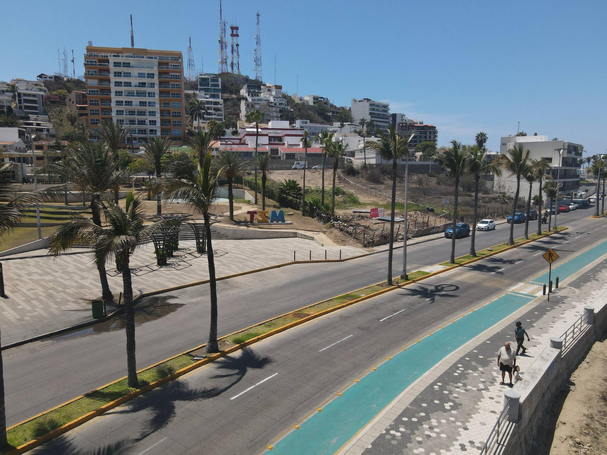 $!Ecologistas critican falta de soluciones reales tras la tala de dos palmeras en Mazatlán