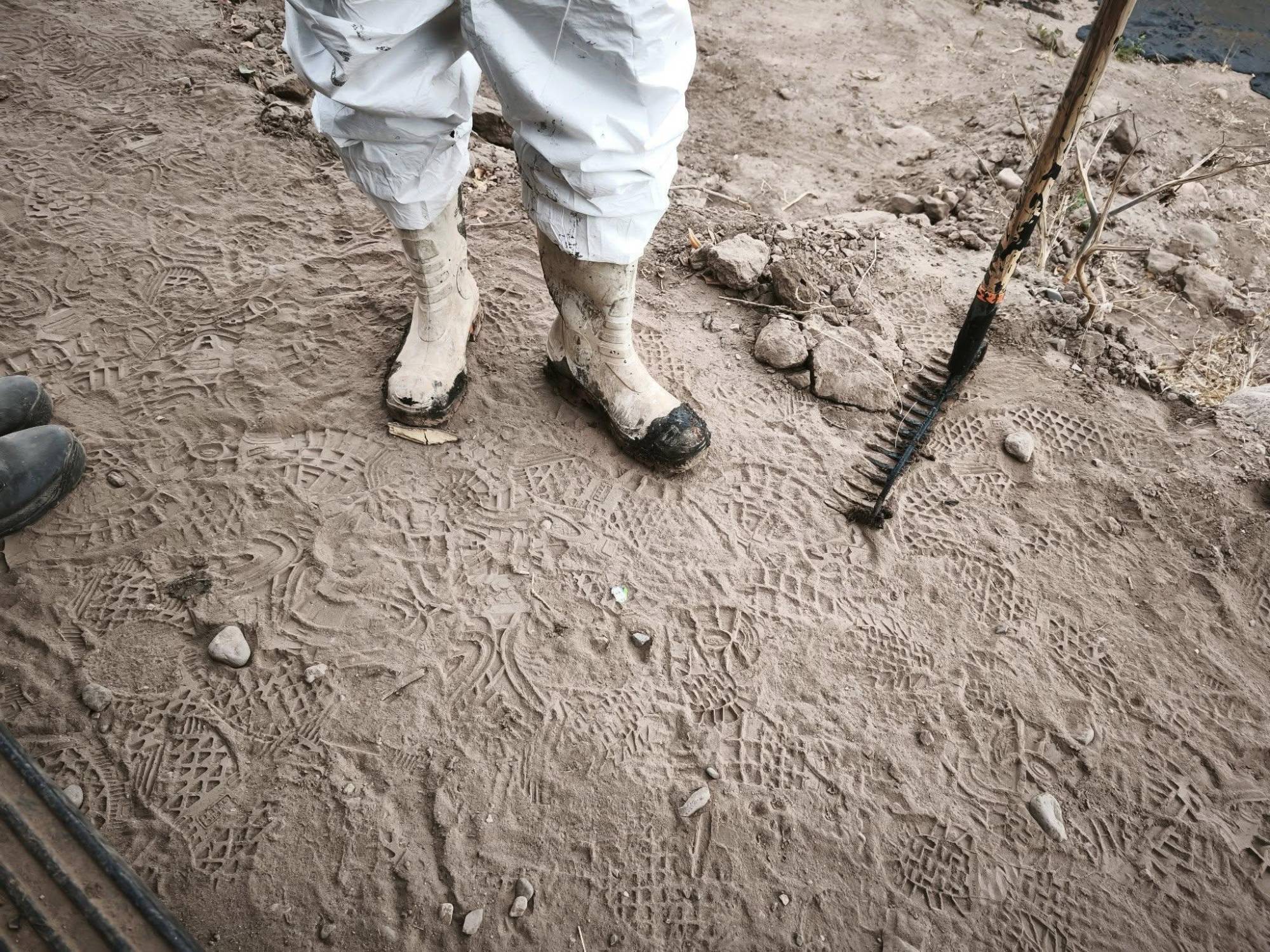 $!Sabuesos Guerreras exige mayor seguridad en jornadas de búsqueda de desaparecidos