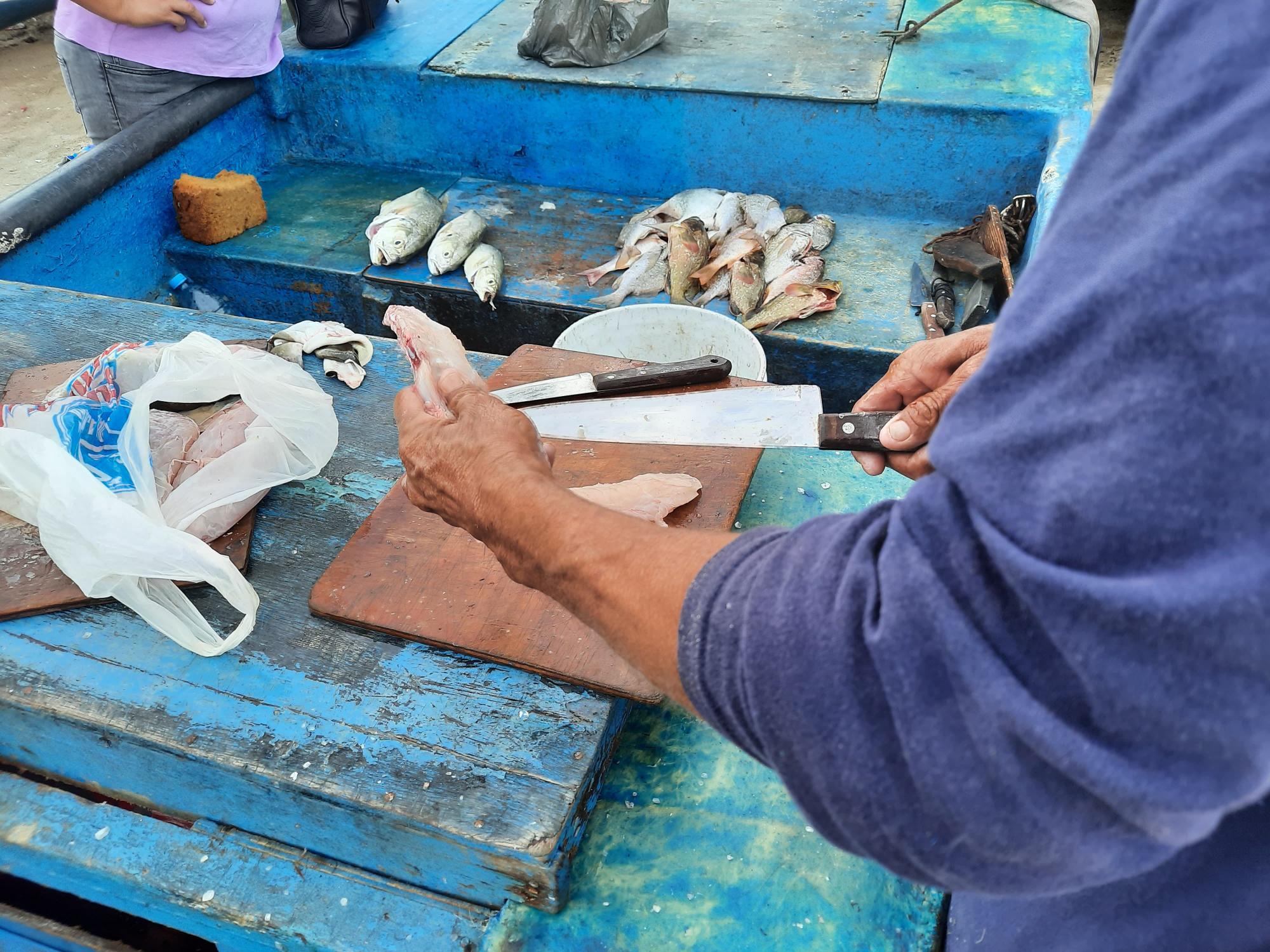 $!Botete, cochi, mojarra y pargo, los pescados de temporada en Mazatlán