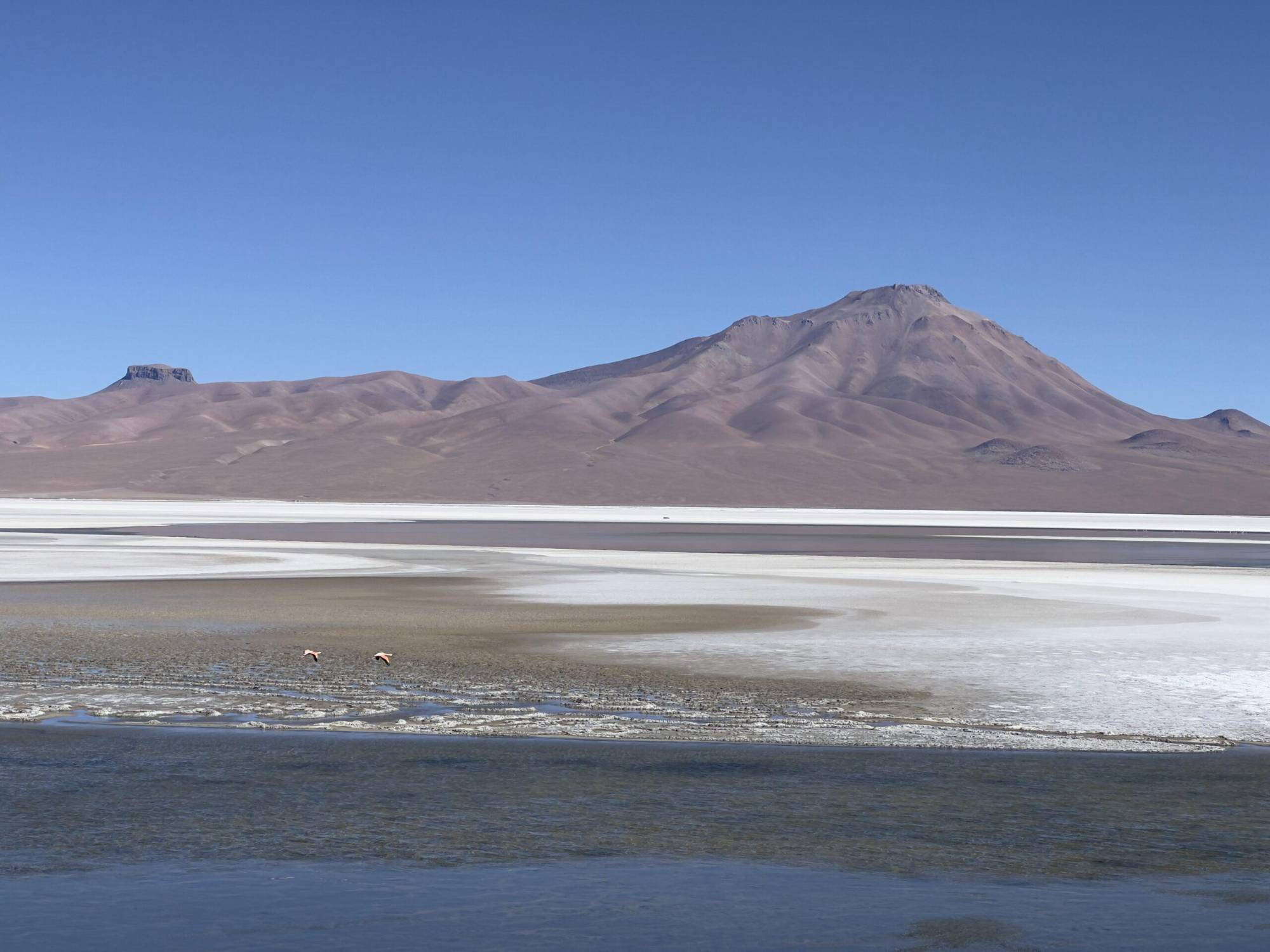 $!Salar de Pastos Grandes, en Potosí, Bolivia. En este país, como en Argentina y Chile, el litio se extrae de los salares, humedales del Alto Andino.