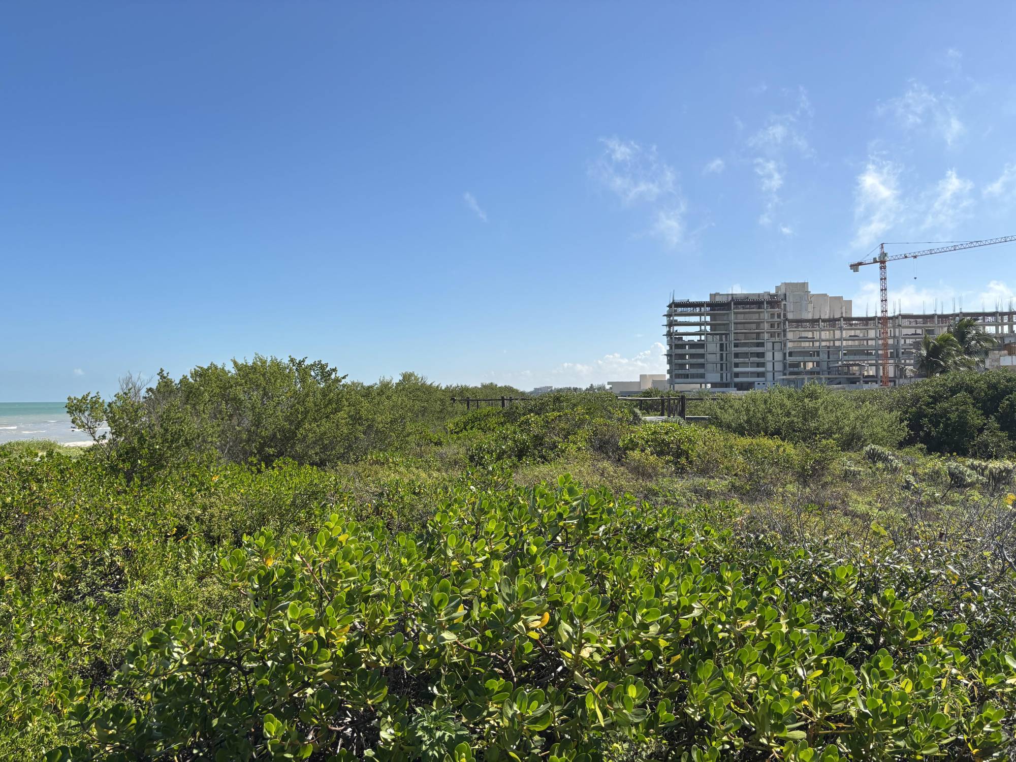 $!Las construcciones se realizan sobre las dunas costeras.