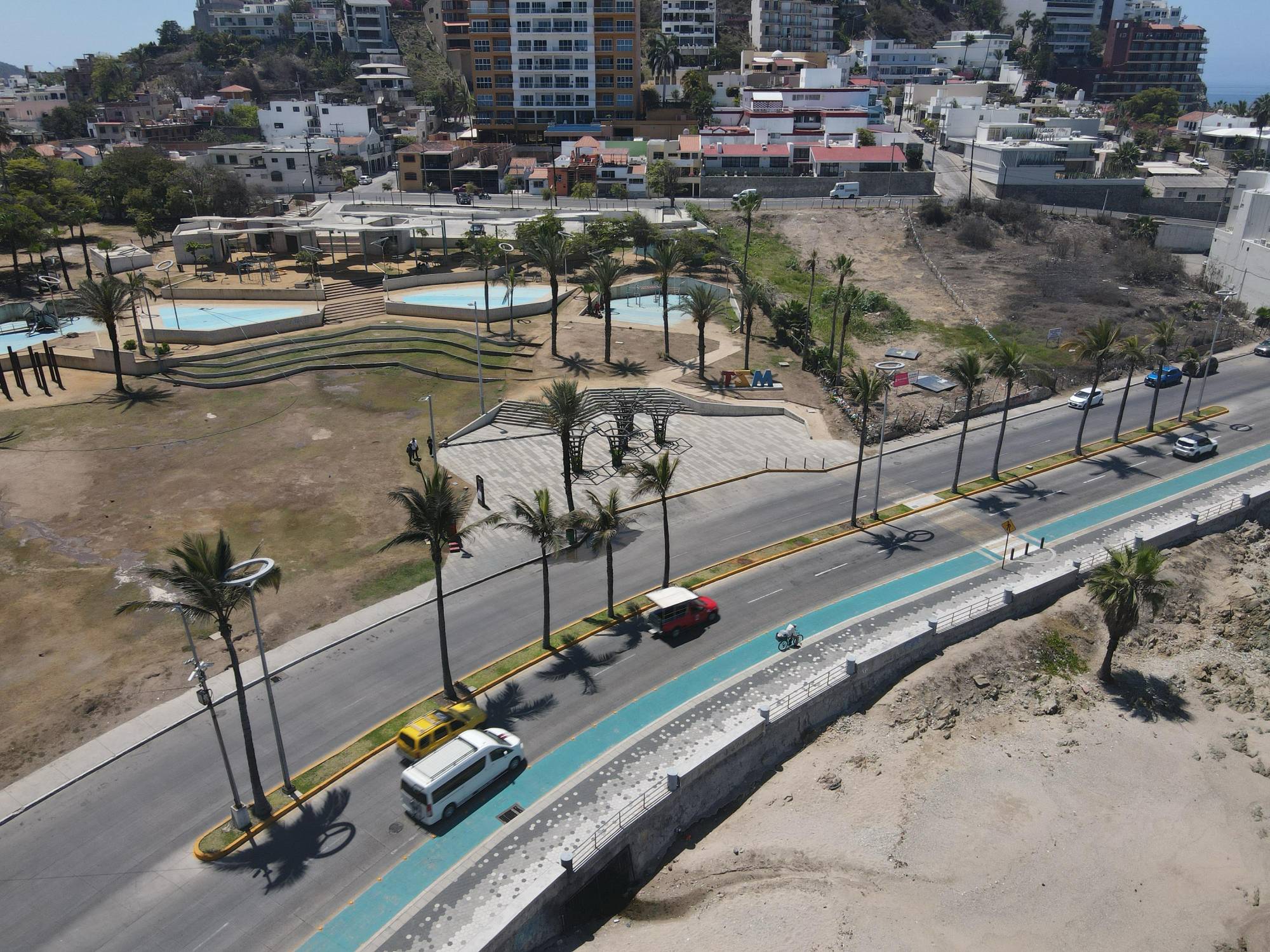 $!Ecologistas critican falta de soluciones reales tras la tala de dos palmeras en Mazatlán