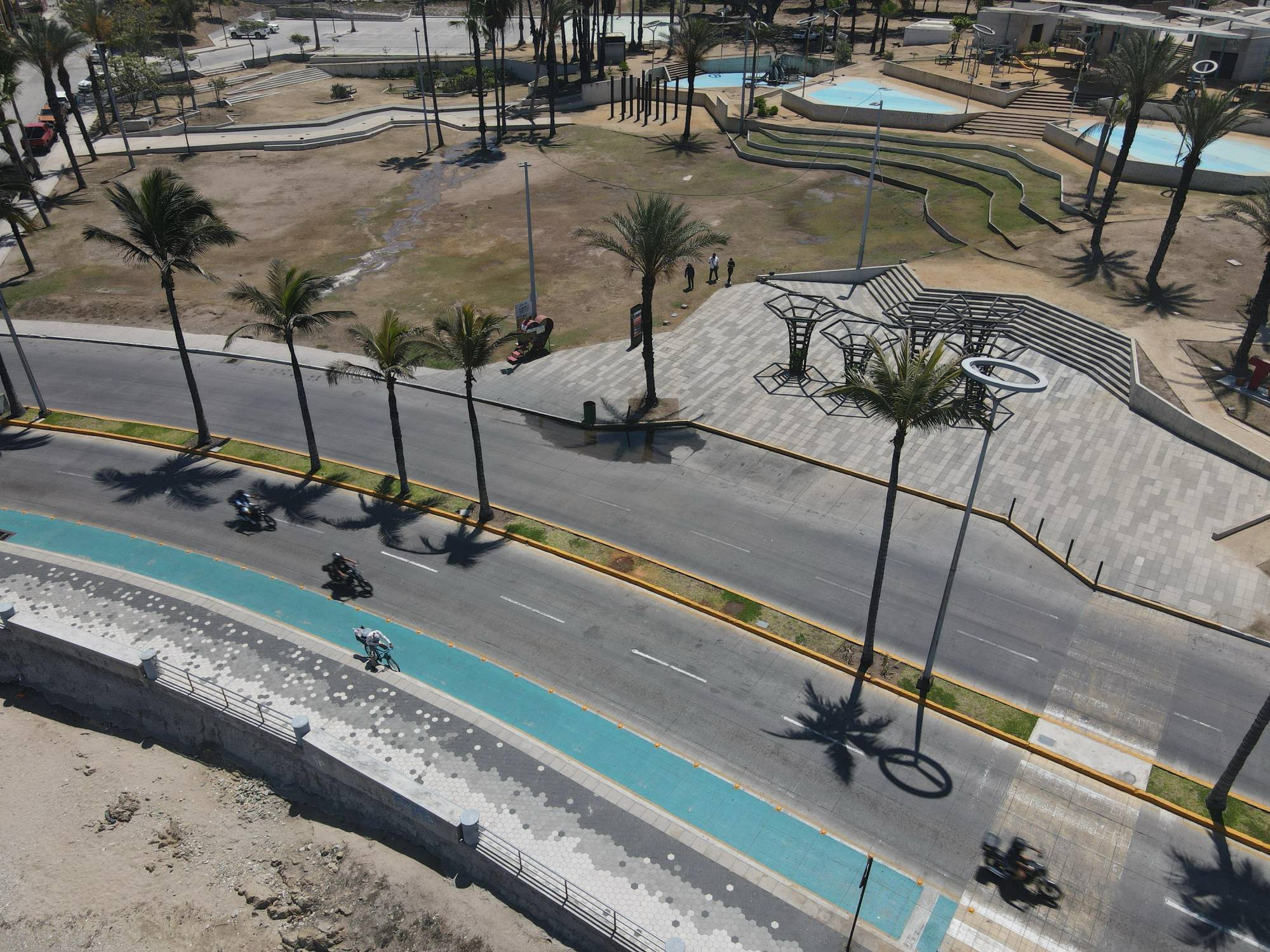 $!Ecologistas critican falta de soluciones reales tras la tala de dos palmeras en Mazatlán