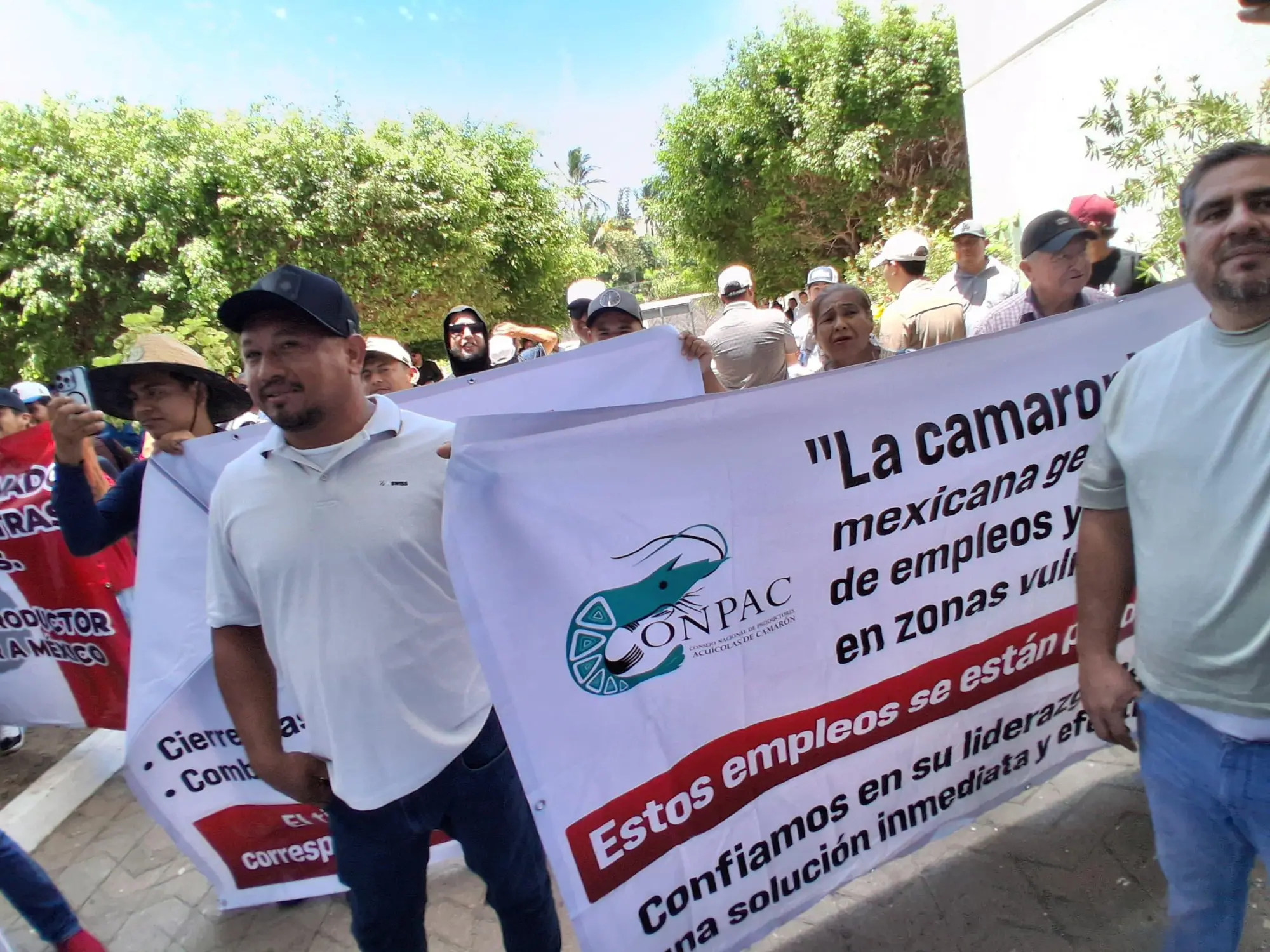 $!Productores de camarón acusan falta de respuestas tras reunión con Conapesca