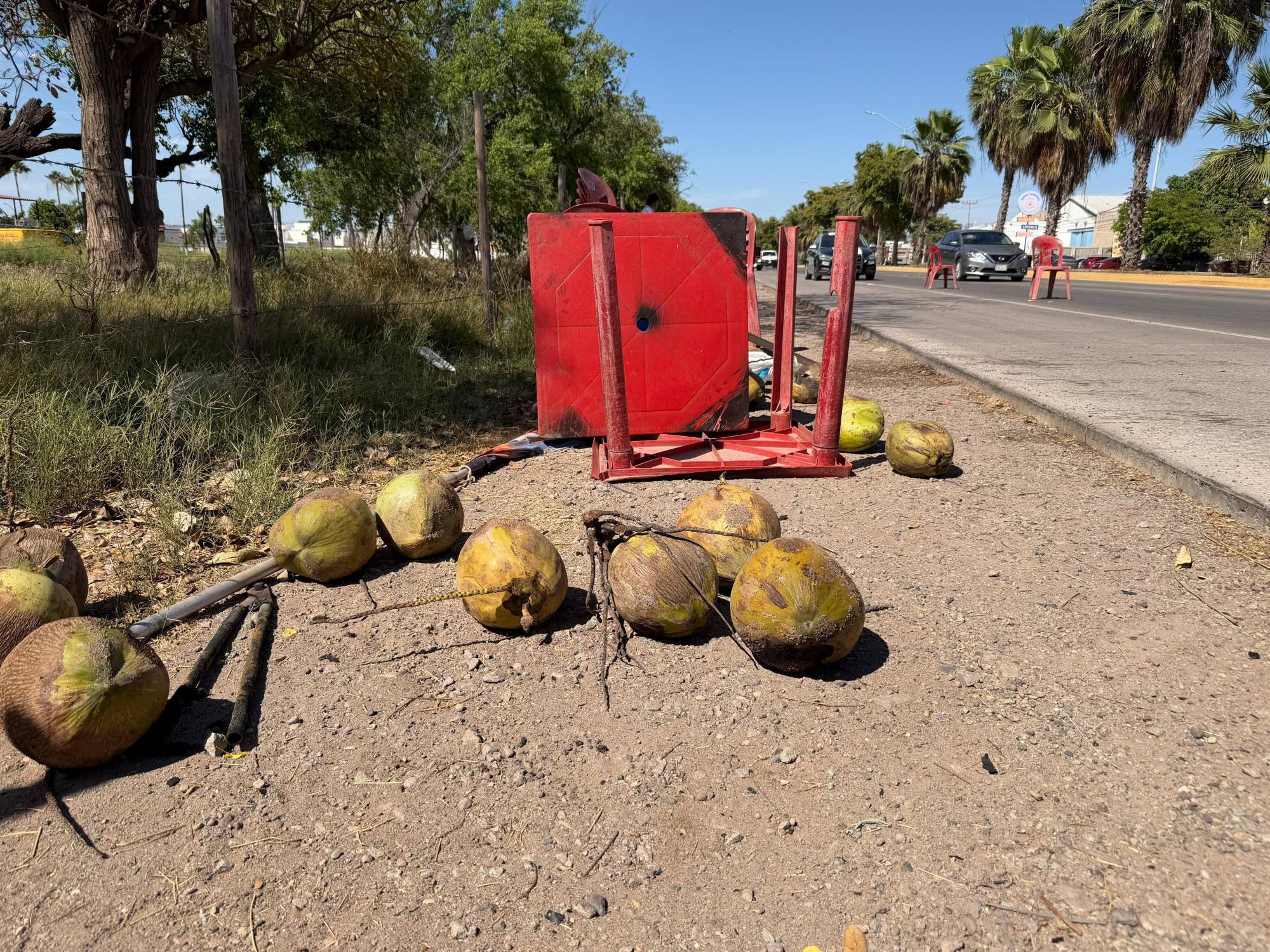 $!Camioneta cargada con cocos es consumida por el fuego sobre la carretera Mochis-Topolobampo