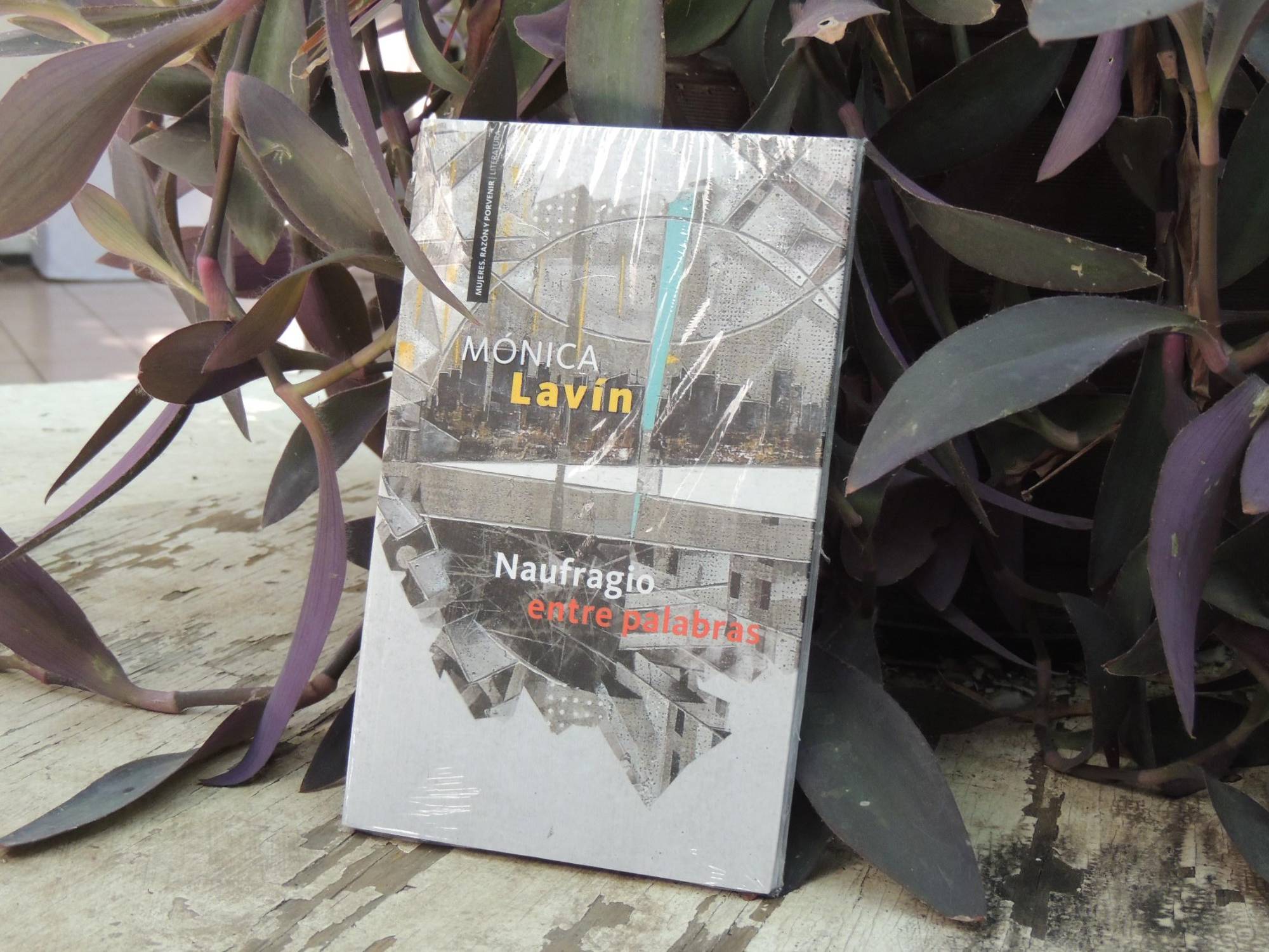 $!El libro forma parte de la Colección Mujeres, Razón y Porvenir.