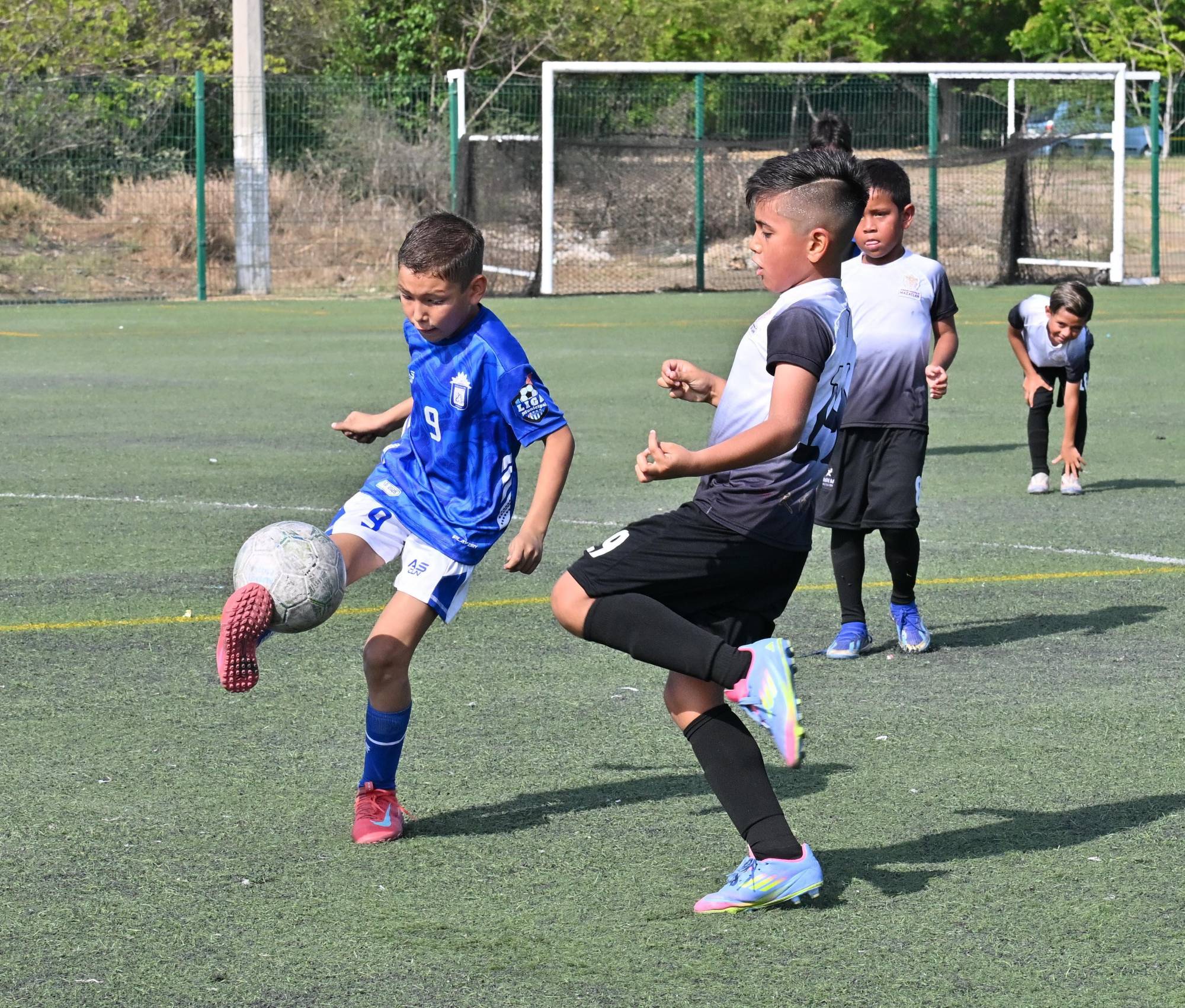 $!Listas semifinales de los Torneos Estatales de Futbol categorías Pandas, Osos e Infantil Mayor