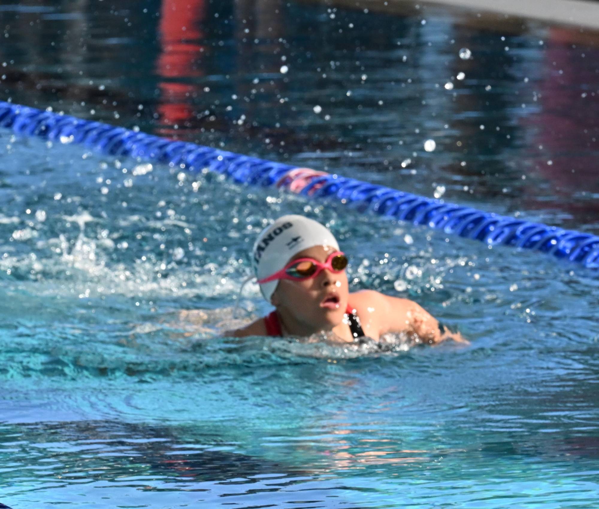 $!Arranca el Estatal de Natación en Mazatlán con alta participación