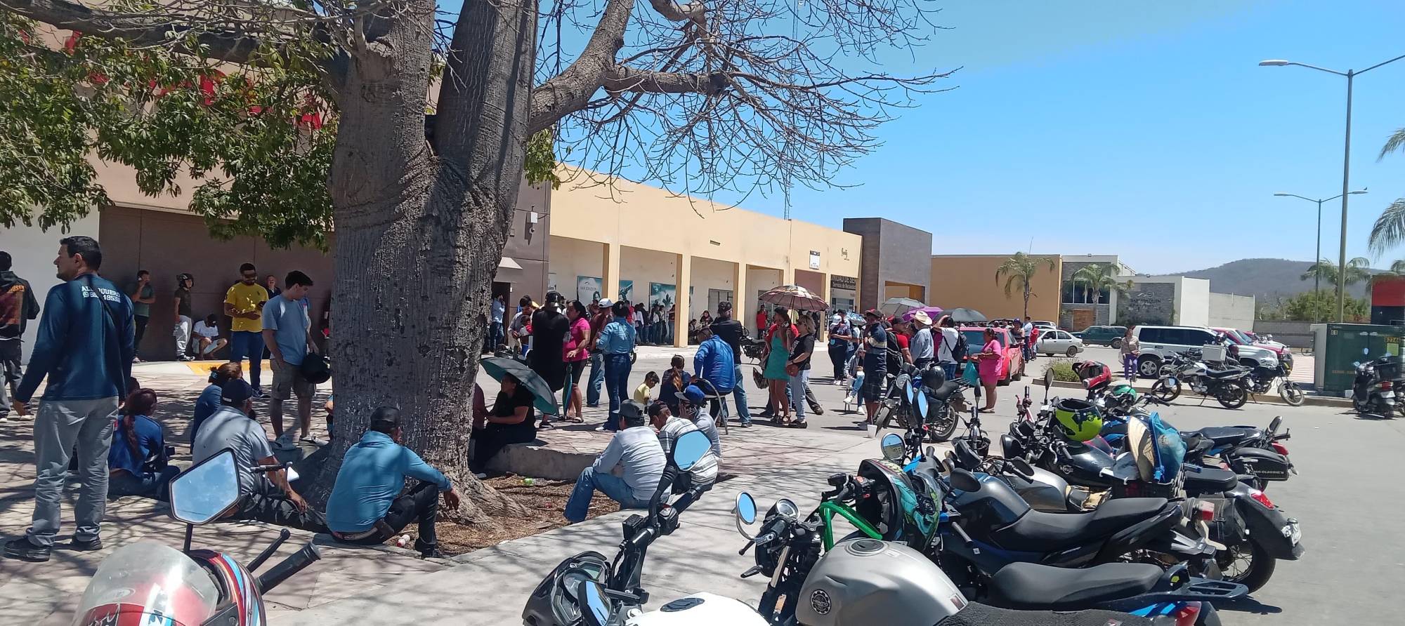 $!Bajo el sol, mazatlecos acuden a pagar sus impuestos vehiculares; piden que se amplíe el plazo