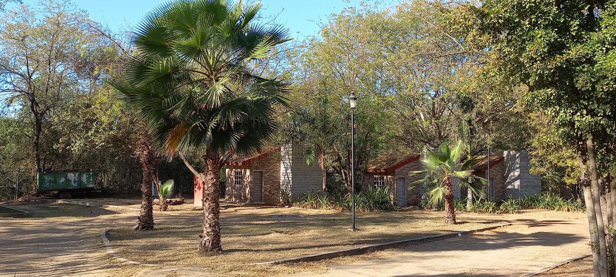$!Iniciativas ecológicas para Culiacán