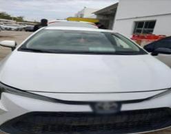 $!Aseguran casi $42 millones en droga en Sinaloa... y hasta un león africano en Escuinapa