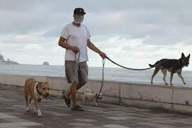 $!Para Semana Santa, restringirán acceso a perros en playas mazatlecas