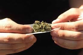 $!Cada persona podrá portar 28 gramos de mariguana, de acuerdo a la nueva legislación.