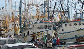 Entregarán a partir de esta semana apoyos de Bienpesca a pescadores