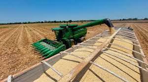 EU inicia disputa comercial con México, a través del T-MEC, por el maíz transgénico