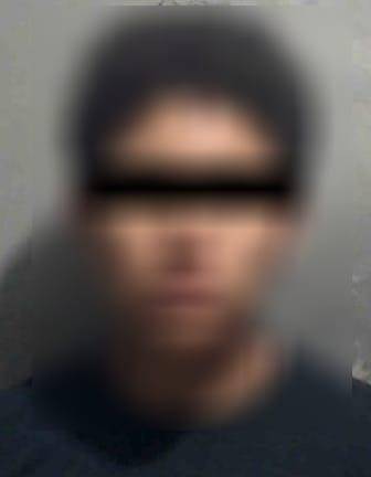 Autoridades preventivas aseguraron diversas porciones de sustancias ilícitas en el sector Terranova.