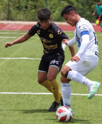 Dorados de Sinaloa buscará coronarse en casa.