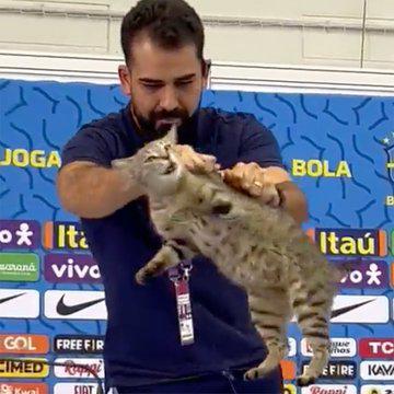 $!La Confederación Brasileña de Futbol fue demandada por lanzar a un gato al piso
