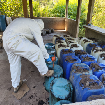 $!Ejército asegura 2 mil litros de precursores químicos y una tonelada de marihuana en Sinaloa