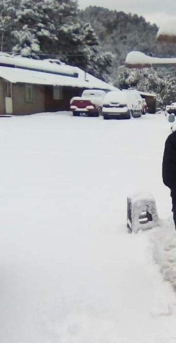 $!Se ‘pinta de blanco’ la sierra de Badiraguato; podría continuar nevando