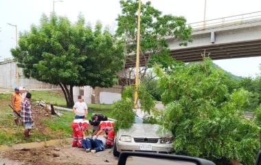 Conductor choca contra poste y árbol del camellón en el malecón de Rosario