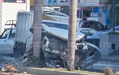 Camioneta derribó una luminaria y una palmera en la Zona Dorada; el conductor resultó ileso.