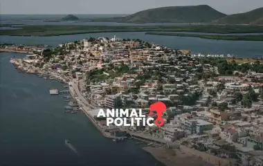 El proyecto fue aprobado sin consultar a los habitantes de la región ni el consentimiento libre, previo e informado de los pueblos indígenas afectados.