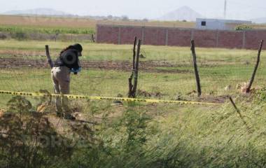 Personal de la Fiscalía de Sinaloa realizan las diligencias correspondientes en el predio de Stanza Granada.