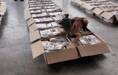 Decomisan mil 77 kilos de café con presunta cocaína en el AICM.