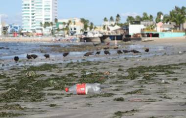 La zona se ha convertido en un colector de desechos que amenaza al ecosistema marino.