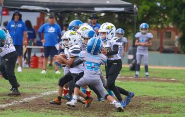 Halcones buscará mantener el paso ganador cuando visite este domingo a Dragones de Irapuato.