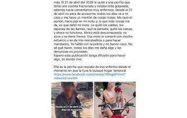 La activista y defensora de animales Danna Osuna denunció presuntos actos de hostigamiento y daños a su patrimonio tras rescatar a una perrita en Mazatlán.